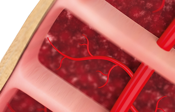Blood-Flow-BEFORE